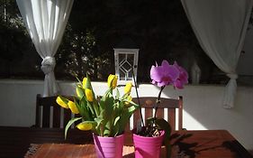 Apartment Villa Holiday II